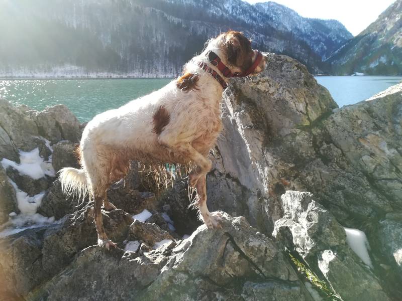 img_20200208_143644.jpg img_20200208_143644.jpg