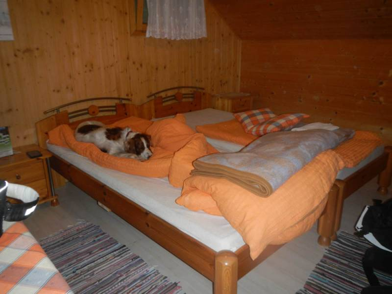 20190713-174733.png 20190713-174733.png