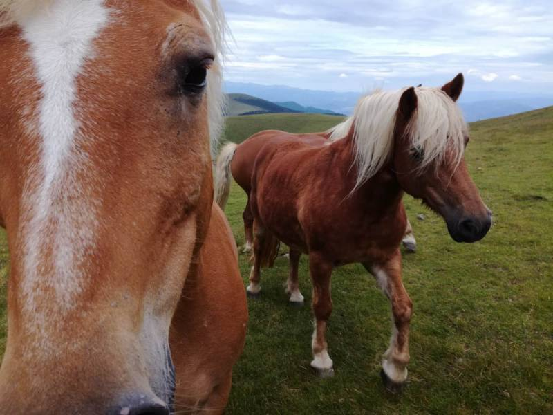 20190713-174038.png 20190713-174038.png