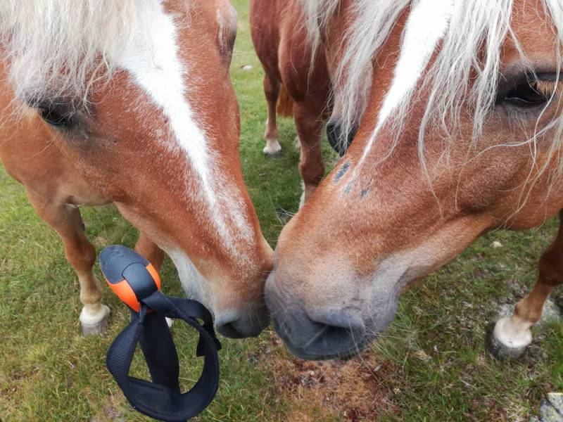 20190801-124225.png 20190801-124225.png